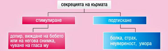 Секрецията на кърмата